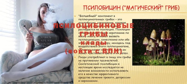 прущая мука Алексин