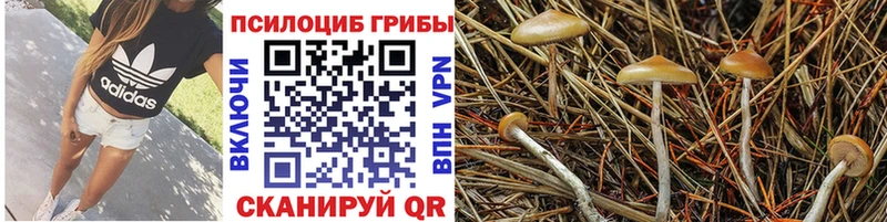 Галлюциногенные грибы GOLDEN TEACHER  KRAKEN онион  Ипатово 